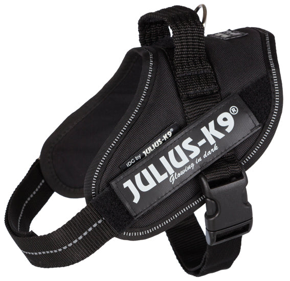 Julius-K9 IDC Sele 49-67 cm/22 mm Svart