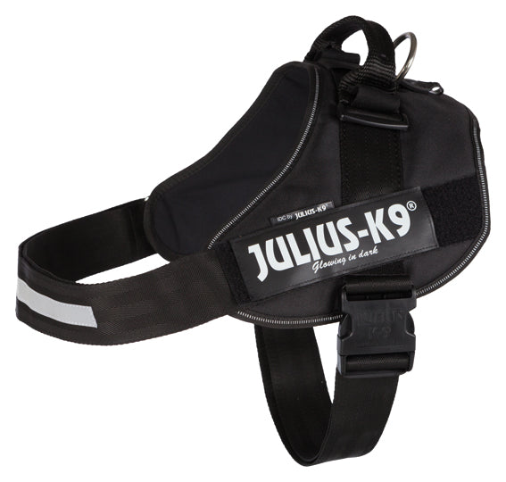 Julius-K9 IDC Sele 96-138 cm/50 mm Svart