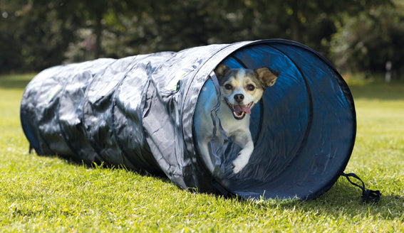 Trixie Agility Tunnel 40 x 200 cm