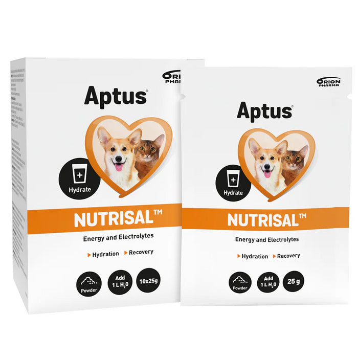 Aptus Vätskeersättning Nutrisal 25g x10