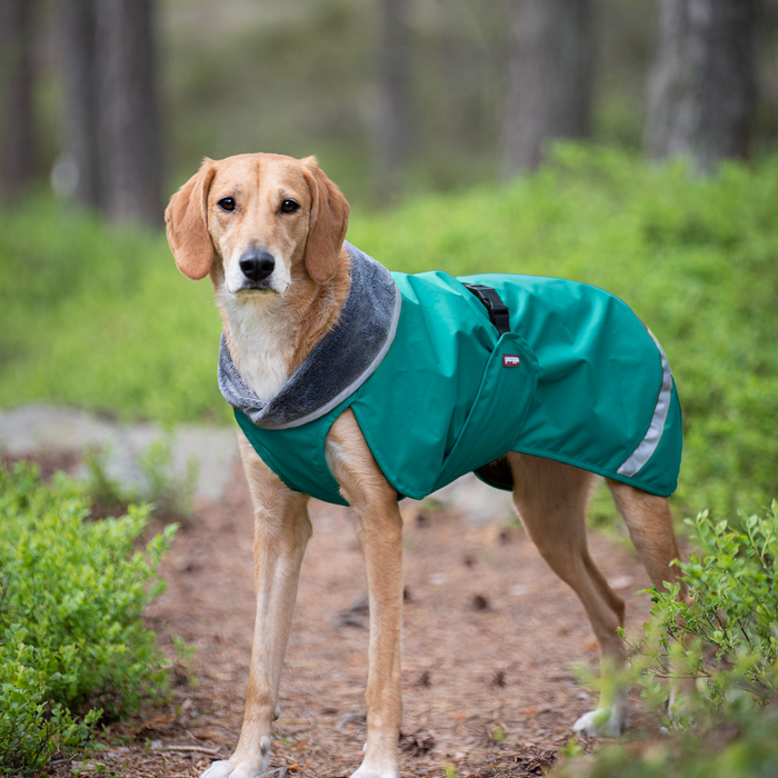 Pomppa Regntäcke Skog