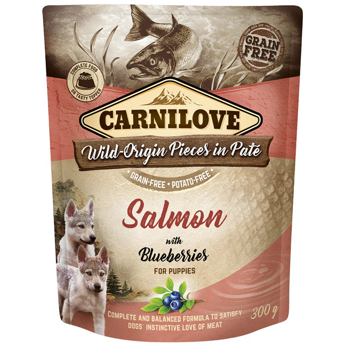 Carnilove Dog Pouch Paté Salmon Blueberries Puppy 300g x12