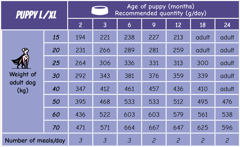 POW! Dog Puppy L/XL Pork 12kg