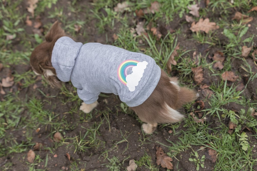 Trixie Rainbow Falls hoodie Ljusgrå