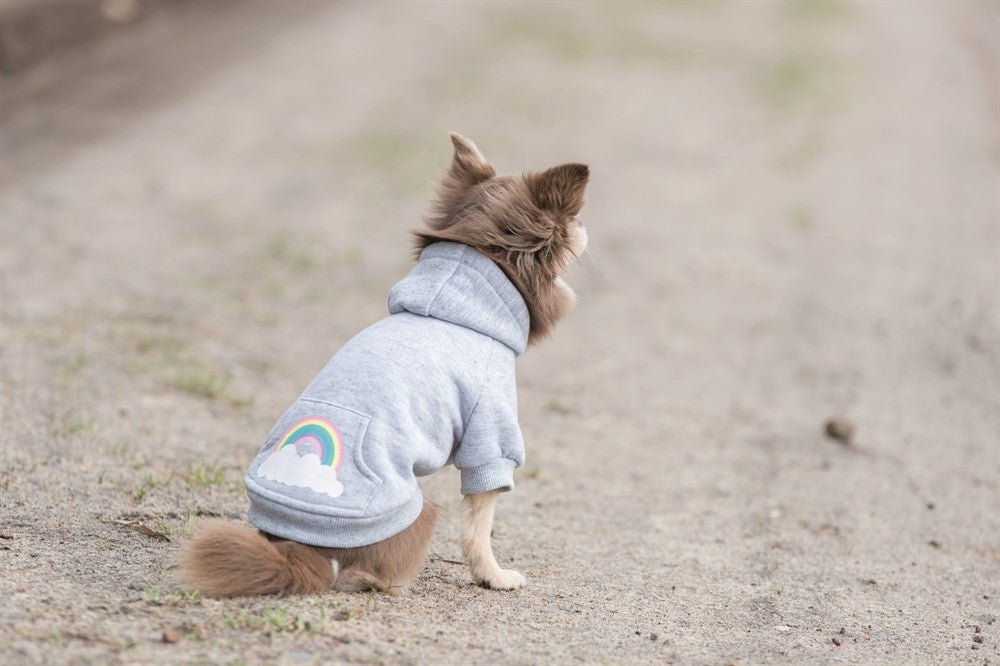 Trixie Rainbow Falls hoodie Ljusgrå