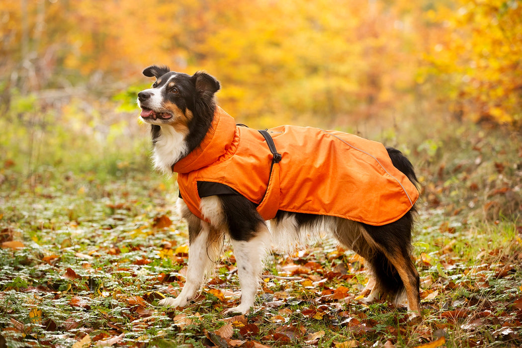 Dogman Vintertäcke Pom Orange