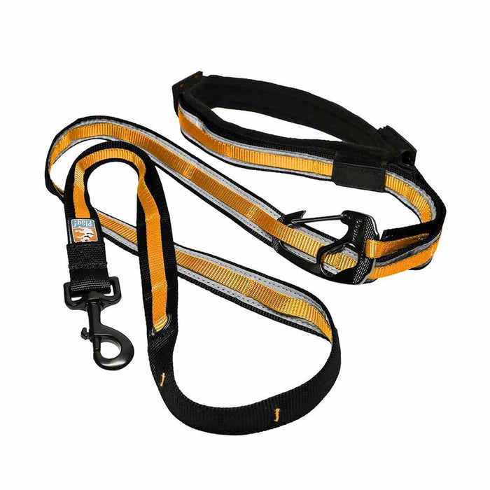 Kurgo Reflect & Protect Quantum Leash