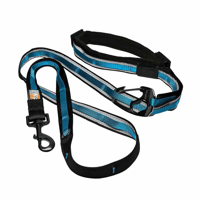 Kurgo Reflect & Protect Quantum Leash