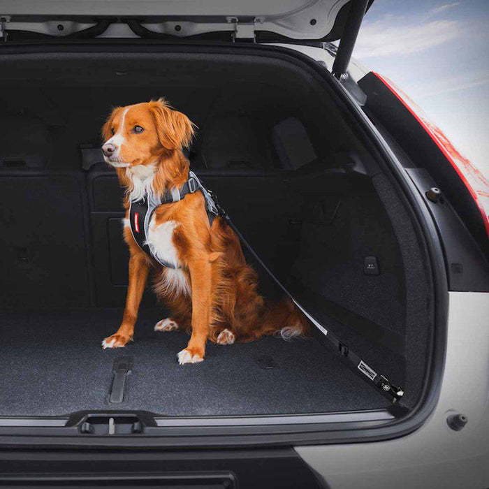 Ezydog Hundbälte Isofix L