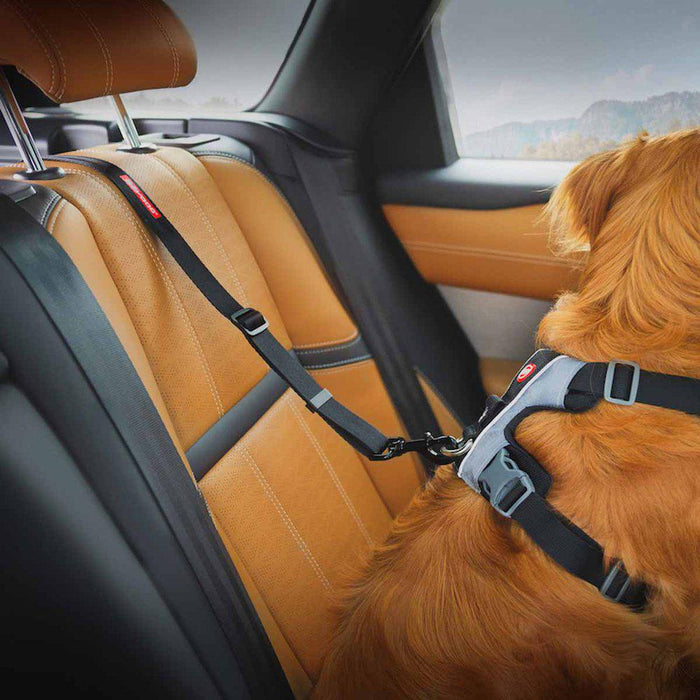 Ezydog Hundbälte Isofix L