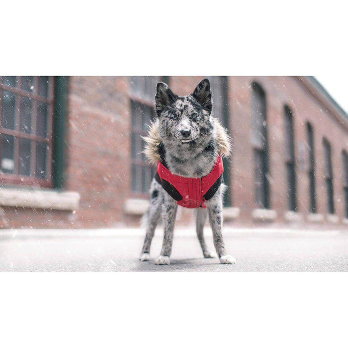 Canada Pooch North Pole Parka Röd