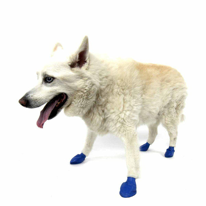 Pawz Dog Boots Color M Blue