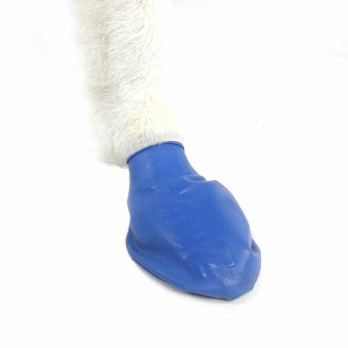 Pawz Dog Boots Color M Blue