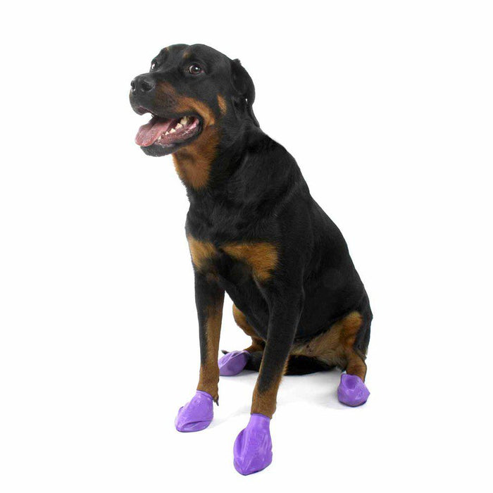 Pawz Dog Boots Color L Purple