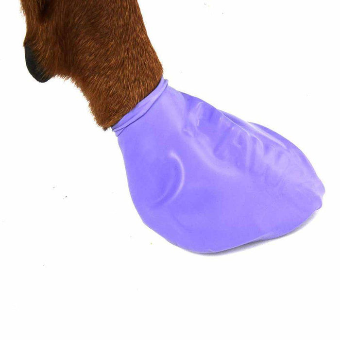 Pawz Dog Boots Color L Purple