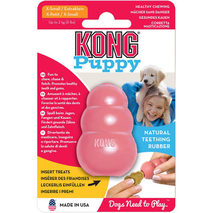 Kong Puppy