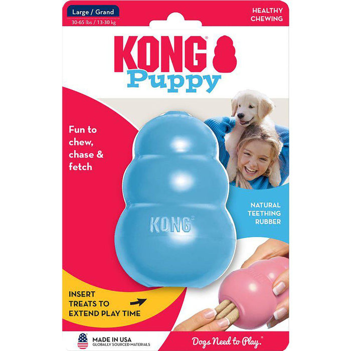 Kong Puppy