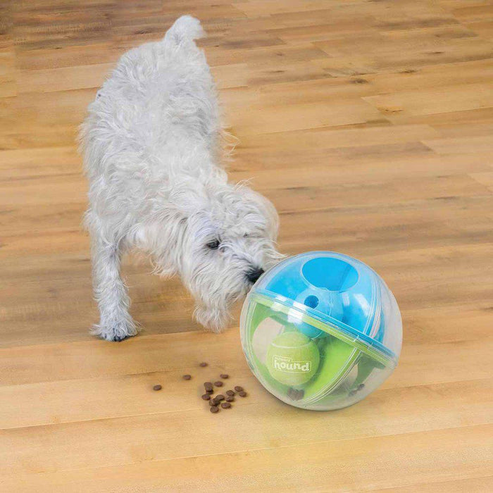 Outward Hound  A-maze Ball