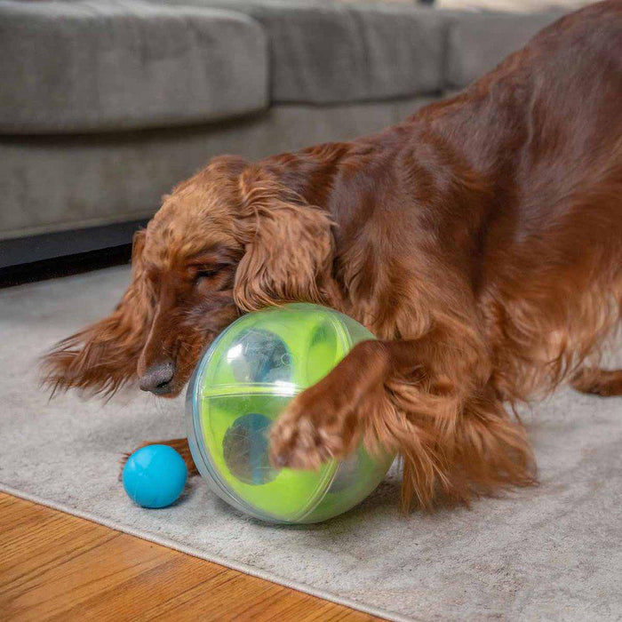 Outward Hound  A-maze Ball