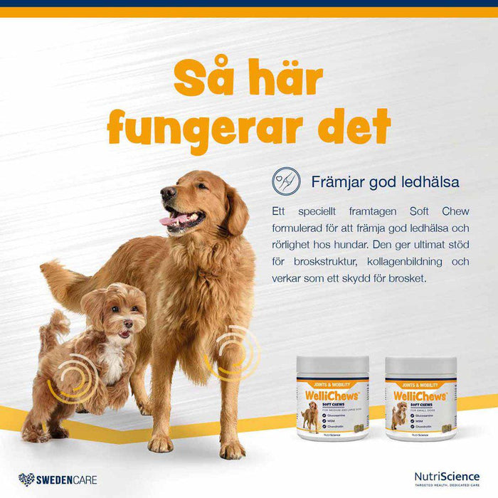 Swedencare Wellichews Joint