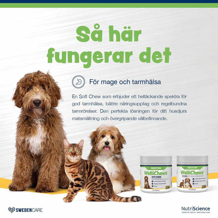 Swedencare Wellichews Digestion Small Dog/cat Se/fi 120st