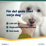 Swedencare Wellichews Digestion Small Dog/cat Se/fi 120st