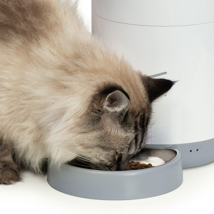 Catit Pixi Smart Feeder Foderautomat