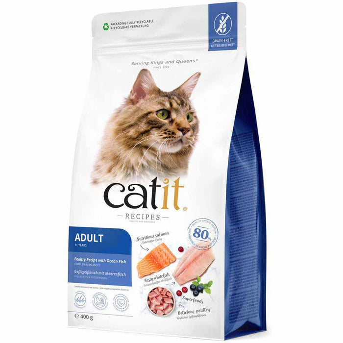 Catit Recipies Dry Adult Fish