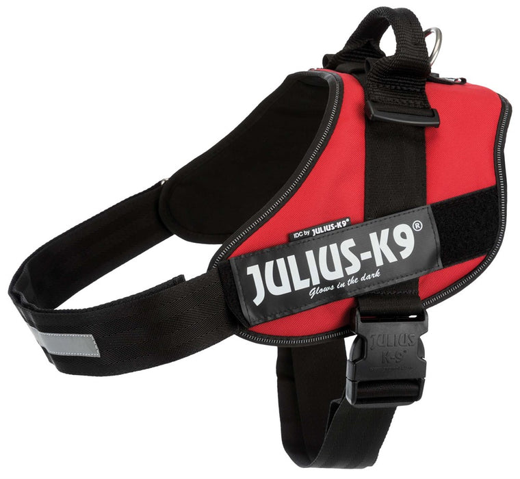 Julius-K9 IDC Sele 96-138 cm/50 mm Röd