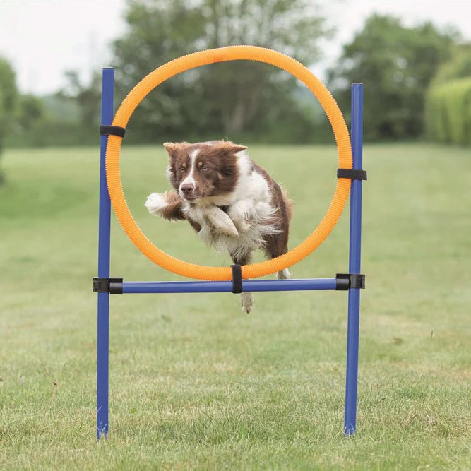 Trixie Agility Hoppring Plast 78 x 65 x 115 cm