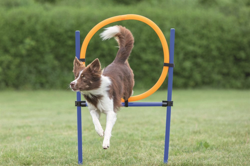 Trixie Agility Hoppring Plast 78 x 65 x 115 cm