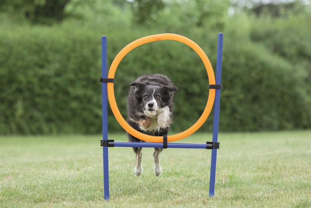 Trixie Agility Hoppring Plast 78 x 65 x 115 cm