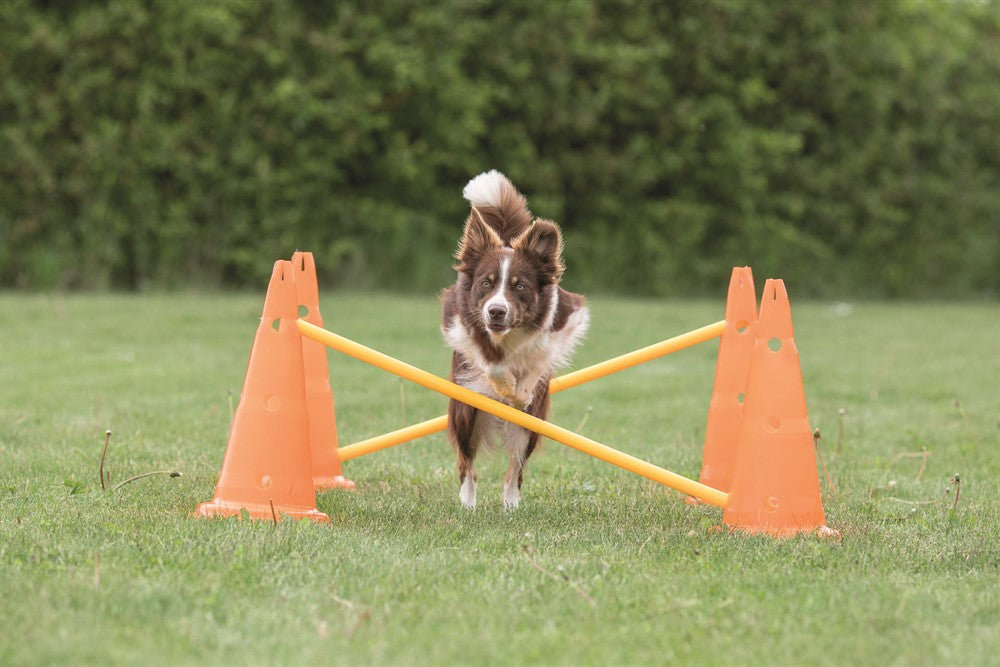 Trixie Dog Activity Hinderset 2 hinder Orange & gul