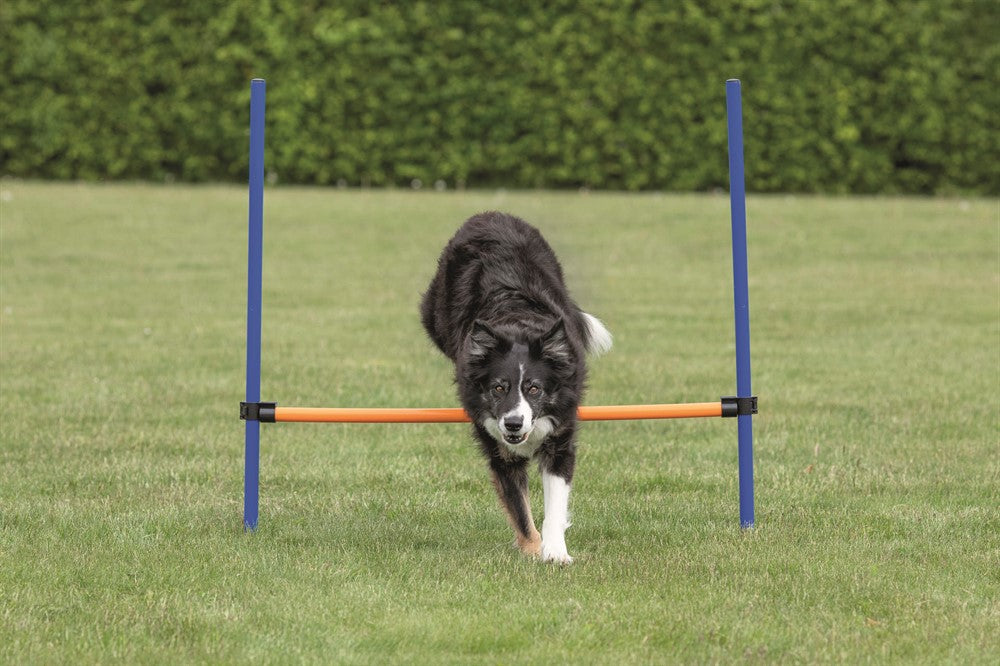 Trixie Agility Hopphinder Plast 123 x 115 cm