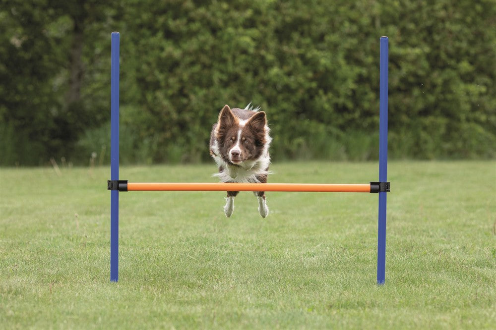 Trixie Agility Hopphinder Plast 123 x 115 cm