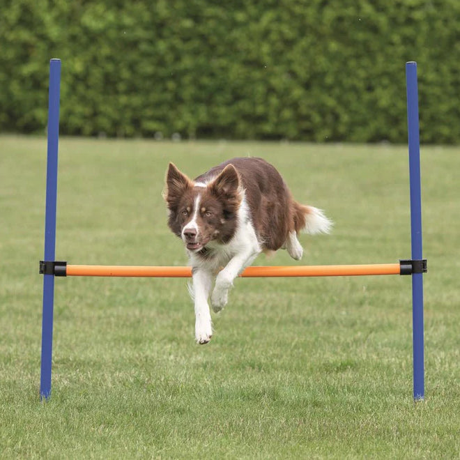 Trixie Agility Hopphinder Plast 123 x 115 cm