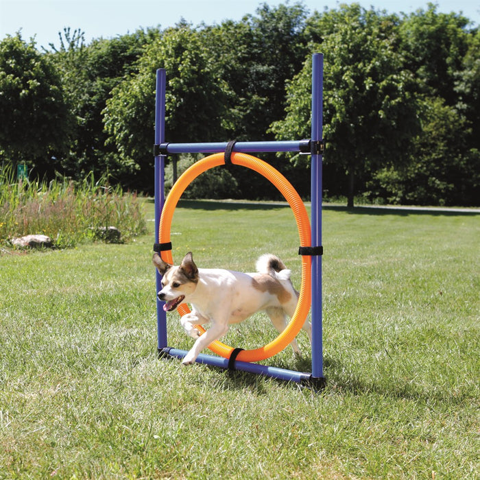 Trixie Agility Hoppring Plast 78 x 65 x 115 cm