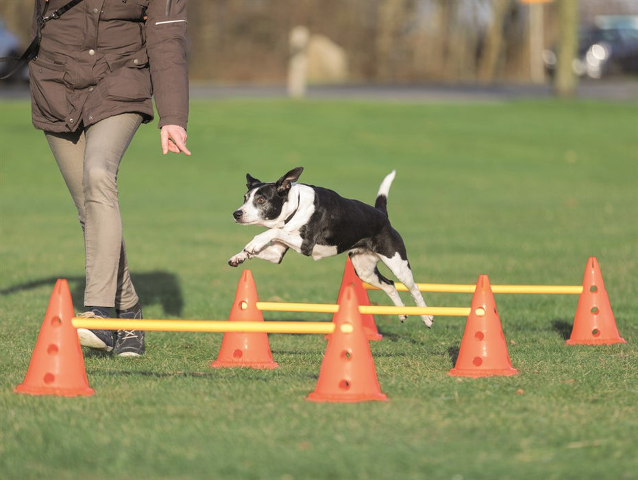 Trixie Dog Activity Hinderset 3 Hinder Orange & Gul