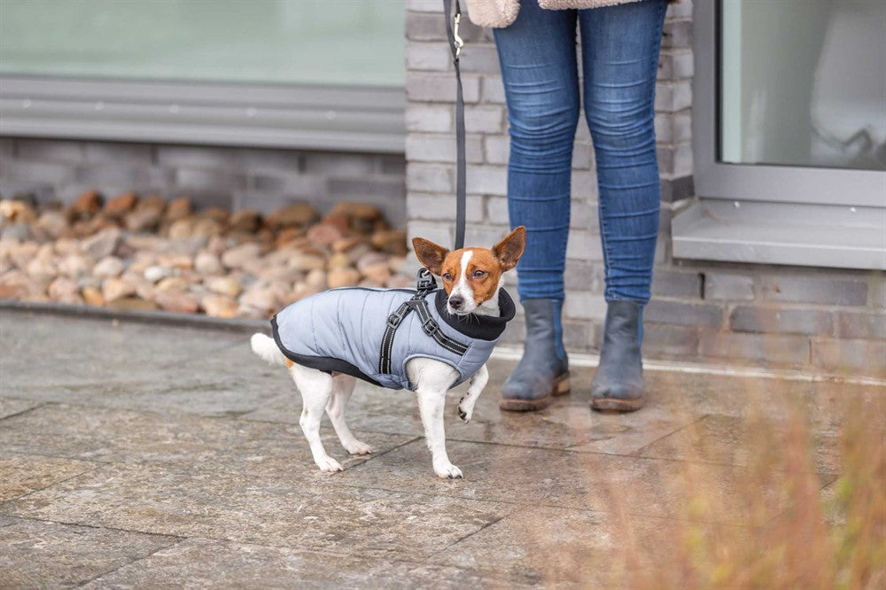 Trixie Pontis Täcke Sele Grå