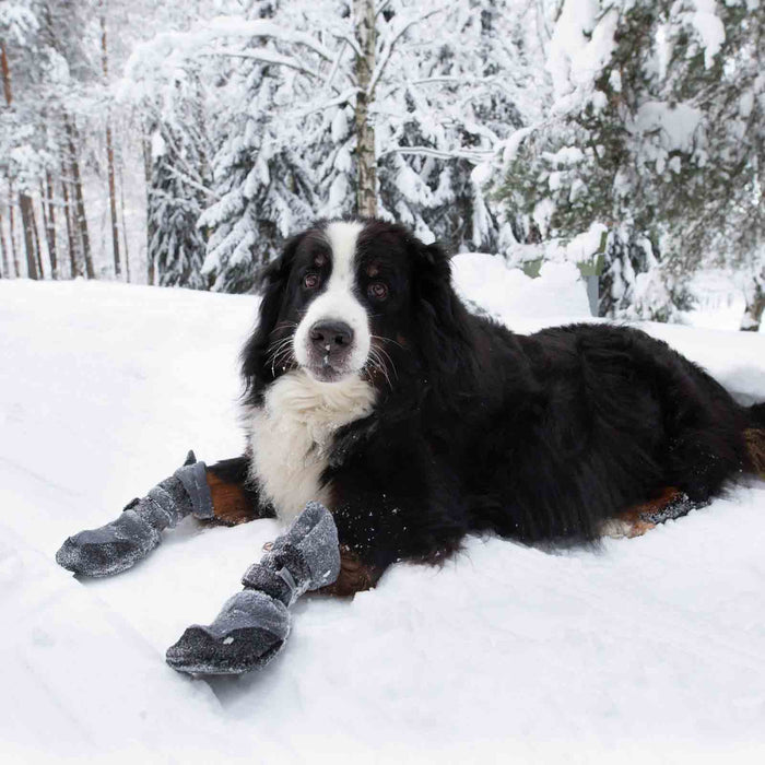 Finnero Hundsko HALLA LUX Grå (2-pack)