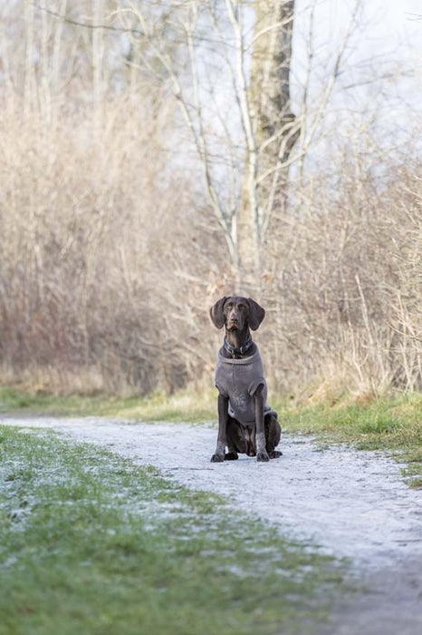 Trixie Kenton Pullover Taupe