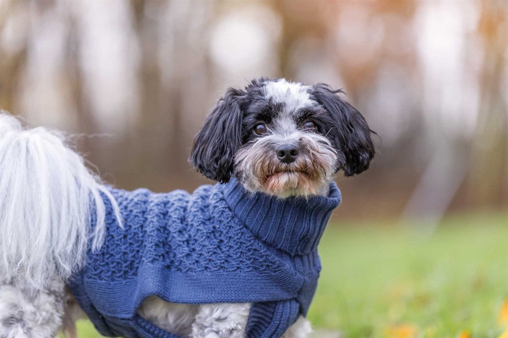 Trixie Pullover Norwood Blå