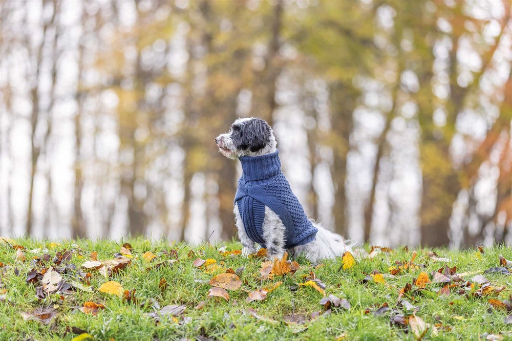 Trixie Pullover Norwood Blå