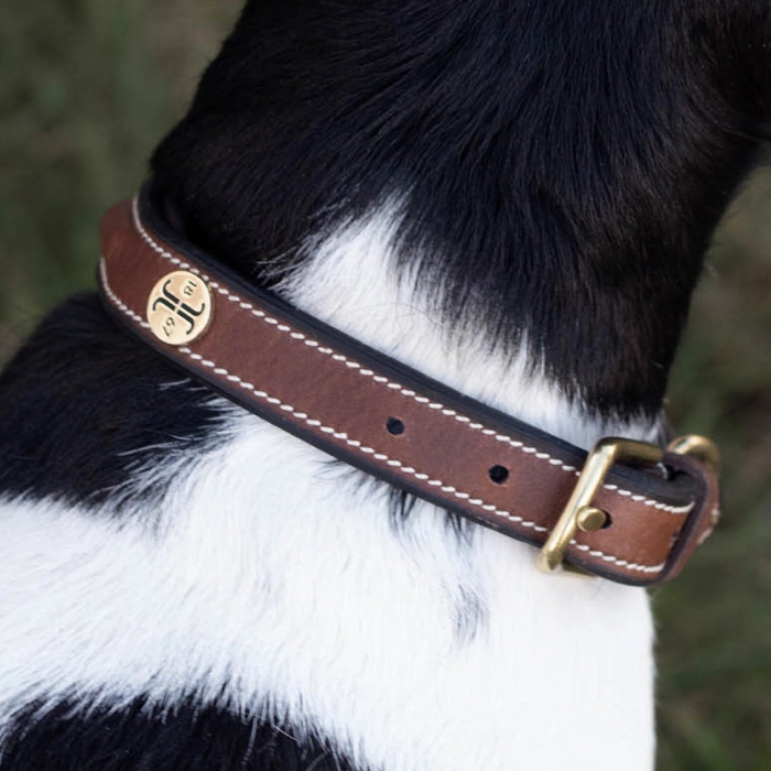 Jacson Arezzo Hundhalsband Brun