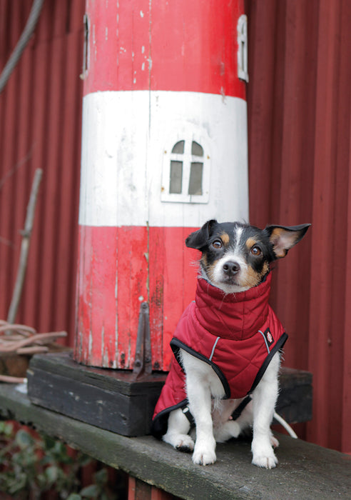 Trixie Minot Hundtäcke Röd